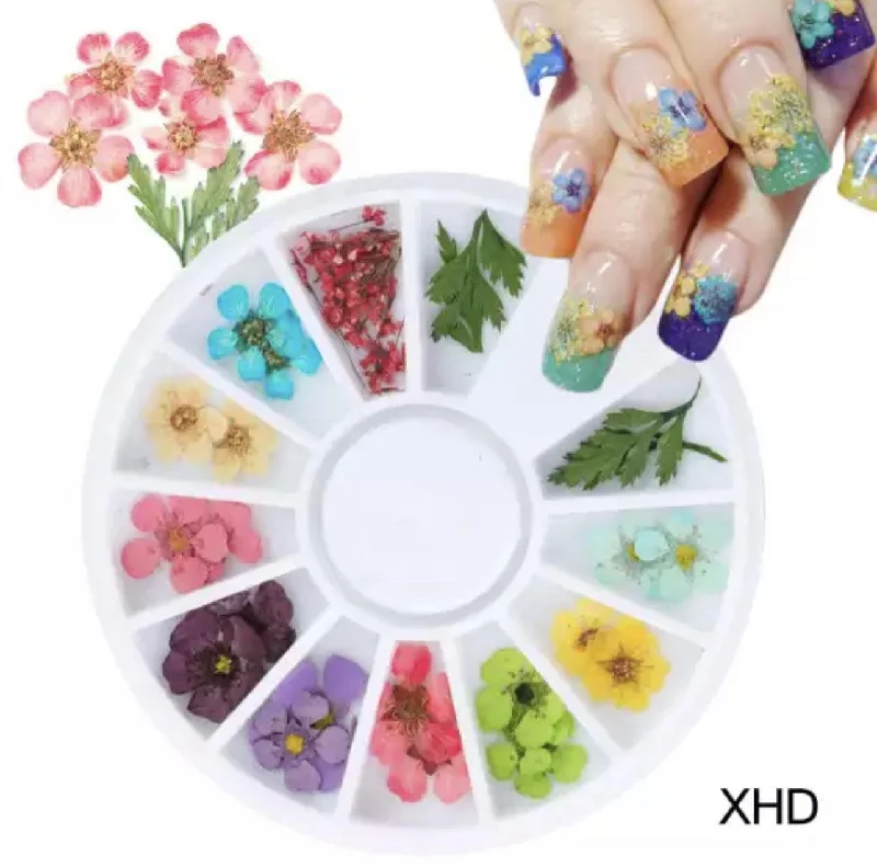 nail polish citrus burst-Dry flower #XHD